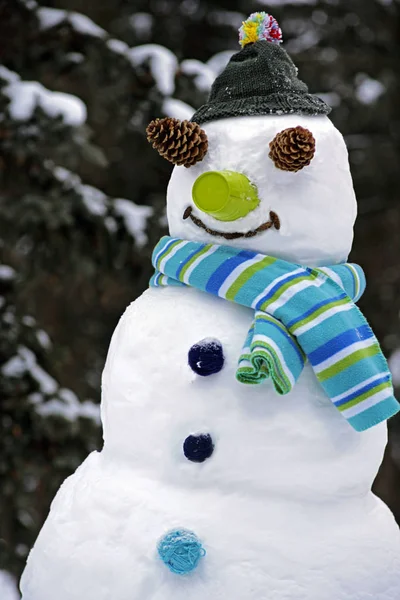 Grand bonhomme de neige au bord de la forêt, souriant . — Photo