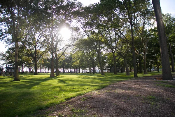 Güneş ışığı ile yeşil park — Stok fotoğraf