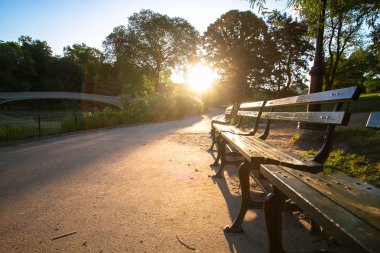 Yay Köprüsü ve park Central Park'ta geçit gündoğumu ile bankta