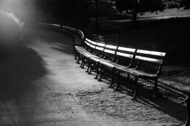 Central Park viraja siyah beyaz tarzı bankta