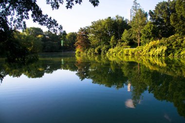 Ağaçlar ve bitki Park lake sakinleştirici yansıtacak