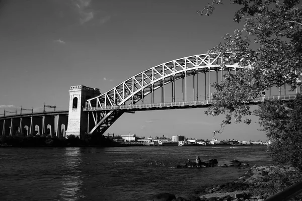 A ponte do portão do inferno atrás das filiais no estilo preto e branco, New York — Fotografia de Stock