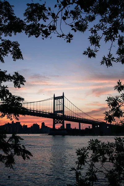 Triborough Köprüsü nehir ve binaların arkasında dalları ile günbatımı gökyüzü, New York silueti