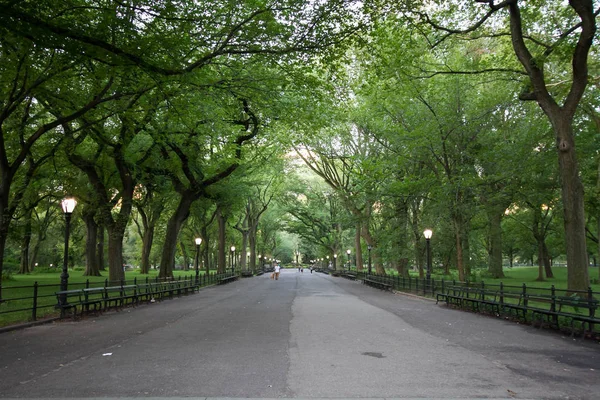 Passerelle sous les arbres à Central Park en été — Photo