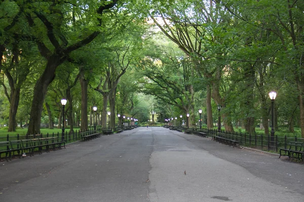 Chodnik i słup światła Central Park wokół drzew w lecie, Nowy Jork — Zdjęcie stockowe