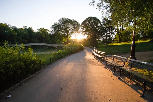 Walkway and park bench next to Bow bridge at Central Park with sunrise — Stock Photo, Image