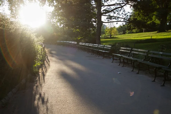 Central Park'ta geçit ve park tezgah gündoğumu ile — Stok fotoğraf