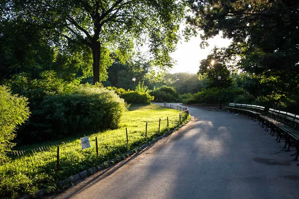 Wandelpad in het park met veel lichtinval, Central Park — Stockfoto