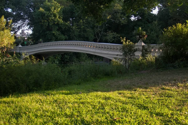 Yay Köprüsü ve çim alan Central Park, New York — Stok fotoğraf