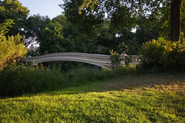 Yay Köprüsü ve çim alanı ile gün ışığına Central Park, New York — Stok fotoğraf