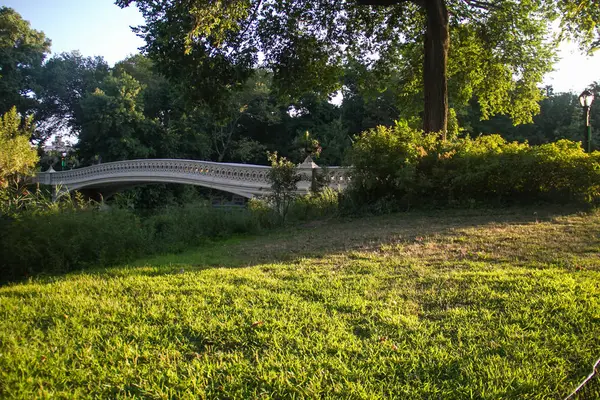 Central Park, New York 'ta yay Köprüsü, ağaçlar ve çim alanı — Stok fotoğraf