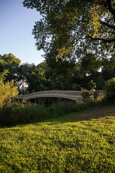 Pont d'étrave et champ d'herbe à Central Park, New York — Photo