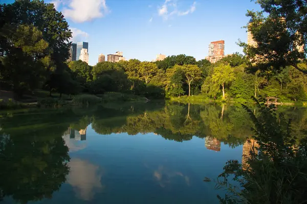 Gebouwen in Manhattan en bomen denken over het meer in Central Park — Stockfoto