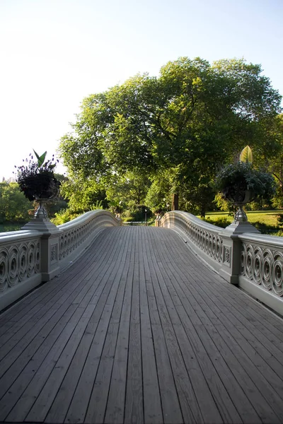 Chemin du pont avant et arbres à Central Park vue en perspective — Photo