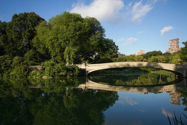 Луковый мост с тенью и большими деревьями отражается в озере с облачным небом в Центральном парке — стоковое фото