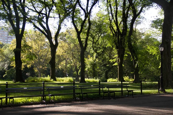 Park bankje op het wandelpad in het Park in de zomer — Stockfoto