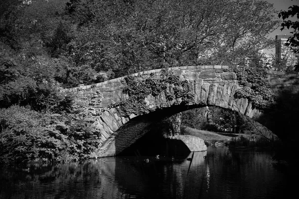 Gapstow híd nyári a Central Park fekete-fehér stílusban — Stock Fotó