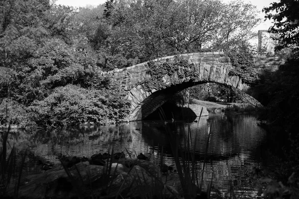 Гапстовский мост через пруд и растения в Центральном парке в черно-белом стиле — стоковое фото