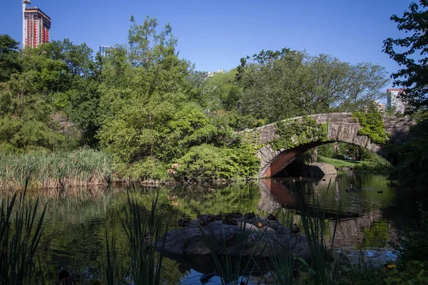 Pont de Gapstow sur l'étang et les plantes à Central Park avec ciel bleu — Photo