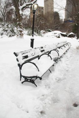 Central Park, New York, karla park banklar