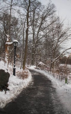 Central Park'ta kar arasındaki kıvrımlı yol