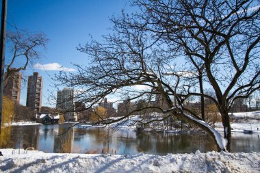 Yansıma göl ve Central Park ve binalar, ağaçları kar ve mavi gökyüzü ile