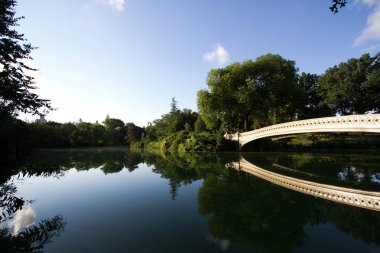 Köprü, ağaçlar ve mavi gökyüzü açıkça Central Park'ta sakinleştirici su yansıtmak yay
