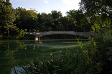 Yay Köprüsü ve ağaçlar su Central Park'ta yaz aylarında yansıtmak