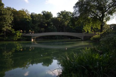 Central Park'ta su sabah ışık yay Köprüsü ve ağaçlar yansıtmak