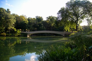 Ağaçlar yay Köprüsü ve sakinleştirici gölde yansıtıcı Central Park çevresinde