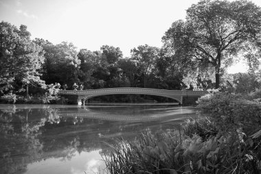 Ağaçları saran yay Köprüsü ve Central Park yansıtıcı gölde siyah beyaz tarzı