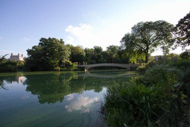 Yay Köprüsü ve ağaçların Central Park yansıtıcı gölde üzerinden