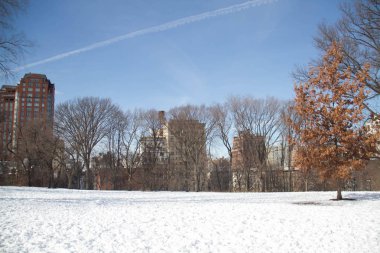 Central Park 'ta kar alanı ve binalar