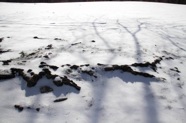 Kayalar kar ağaç gölge