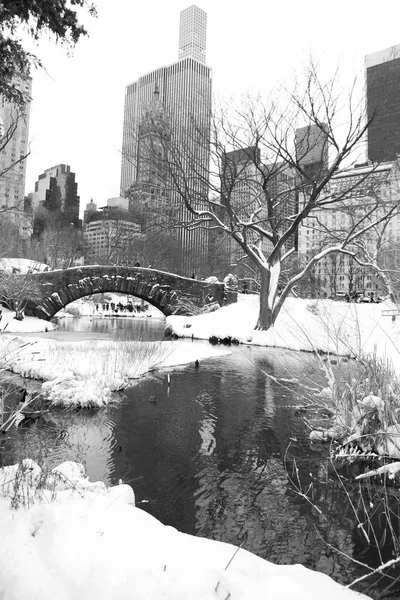 Gapstow brug over het ijzige meer en de sneeuw in Central Park in zwart-wit stijl — Stockfoto