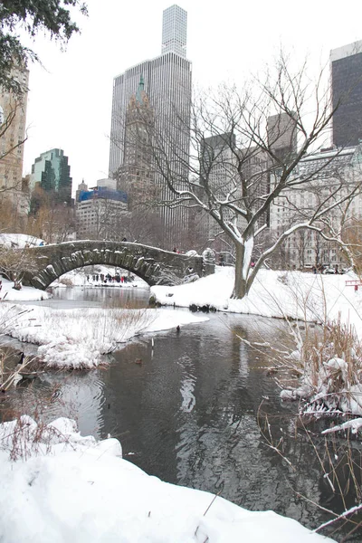 Gebouwen en Gapstow brug over het ijzige meer en de sneeuw in Central Park — Stockfoto