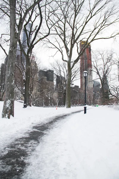 Central Park ve Manhattan binalarda, karda yürüme yolu