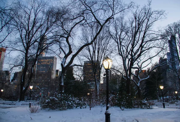 Lichte stok op Central Park en gebouwen in Manhattan — Stockfoto