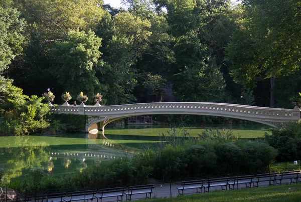夏のセントラルパークで木と周り弓橋 — ストック写真