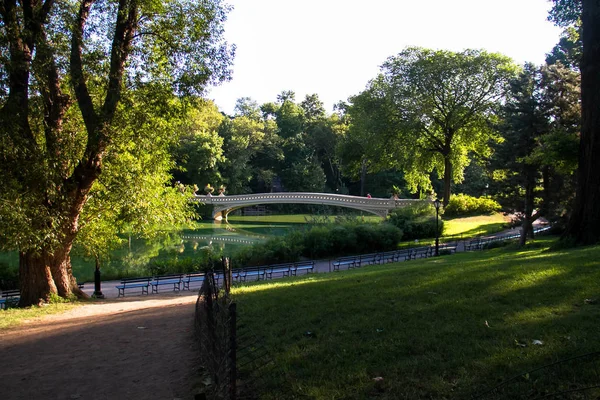A Central Parkban nyaranta meghajolt körhíd a fák körül — Stock Fotó