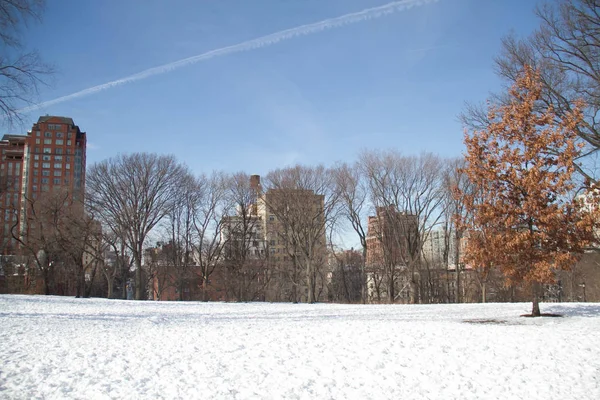 Campo de nieve en Central Park y edificios — Foto de Stock