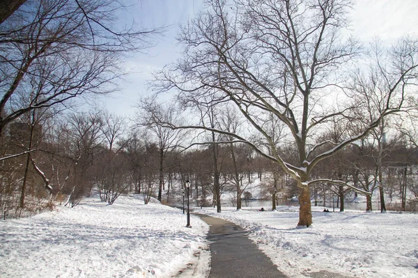 Central Park 'ta yol ve kar — Stok fotoğraf