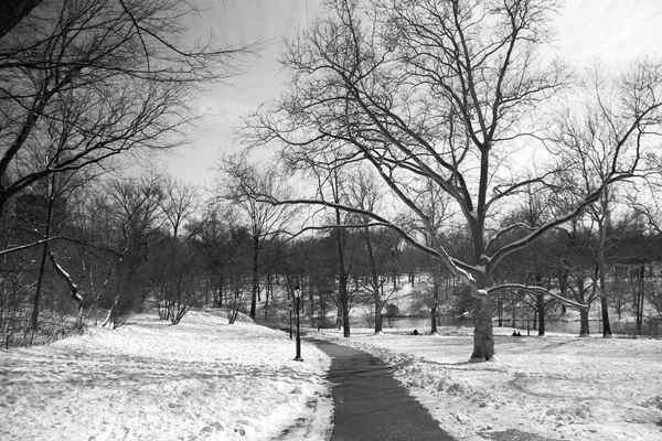 Weg en sneeuw in Central Park in zwart-wit stijl — Stockfoto