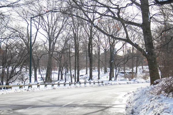 Curva de estrada e neve no Central Park no inverno — Fotografia de Stock