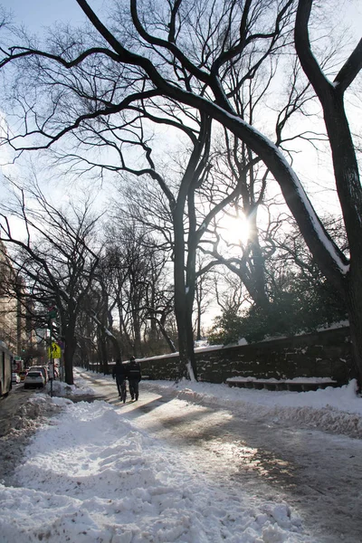 Träd vid vägg och snö på vintern — Stockfoto