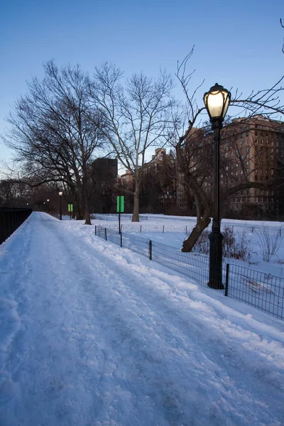 Sendero de nieve en el parque con poste de luz y árboles — Foto de Stock