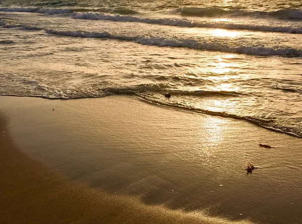 Agitation de l'océan sur le sable et le reflet du soleil dans un style de couleur orange, Floride — Photo
