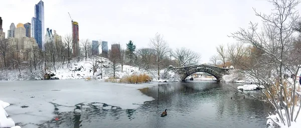 Gapstow bridge over the lake with snow at Central Park and buildings in Panorama view, New York