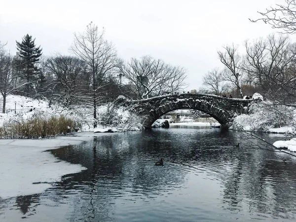 Gapstow köprü ve vintage tarzı Central Park, New York, kar ile nehir