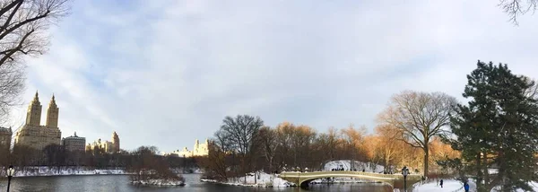 Боу-мост и озеро со снегом в Центральном парке с панорамным видом, Нью-Йорк — стоковое фото